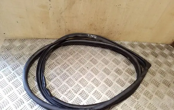 Honda Civic Rear door rubber seal (on body) 