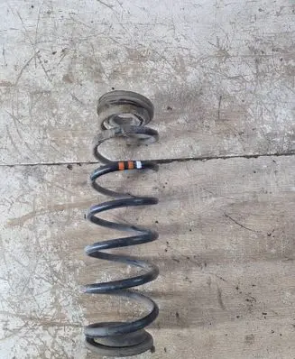 Rear coil spring