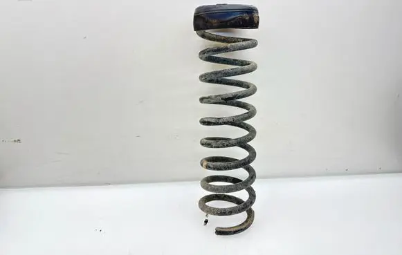 Ford Kuga I Rear coil spring 