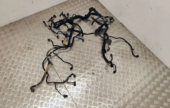 Renault Koleos I Engine installation wiring loom 