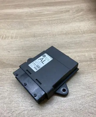 Opel Signum Door control unit/module 13111456