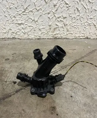 Thermostat/thermostat housing