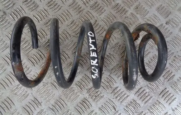 Rear coil spring