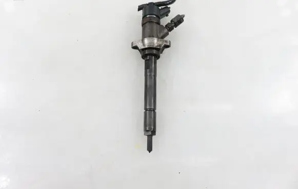 Volvo V50 Fuel injector 0445110259