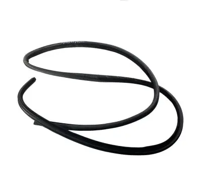 Dodge Charger Front door rubber seal