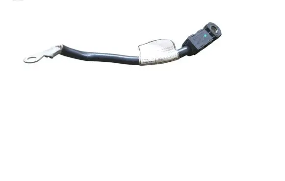 Fiat Ducato Negative earth cable (battery) 1399108080 30072018