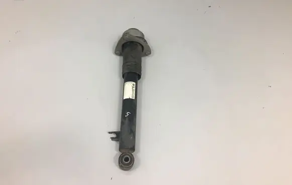 BMW X5 E70 Rear shock absorber/damper 6781928
