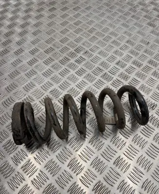Ford Mustang Mach-E Rear coil spring LJ9C5560ANF