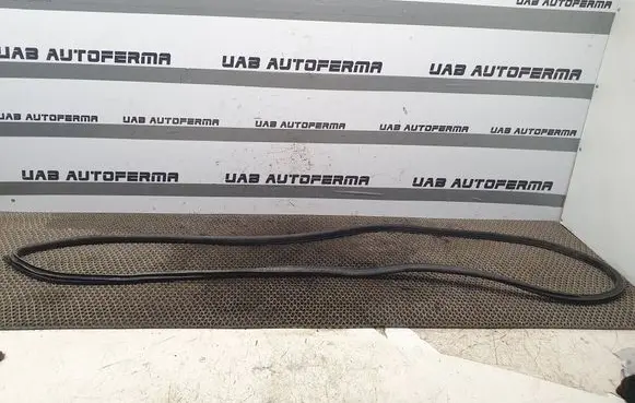 Nissan Murano Z51 Front door rubber seal 
