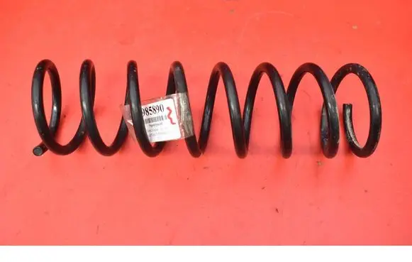 Rear coil spring