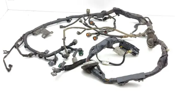Engine installation wiring loom