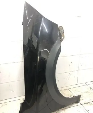 Skoda Octavia Mk2 (1Z) Fender