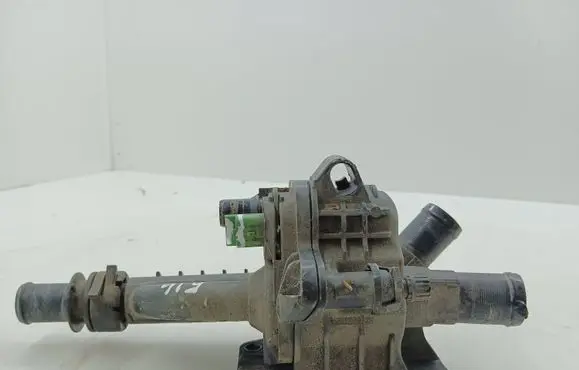 Thermostat/thermostat housing