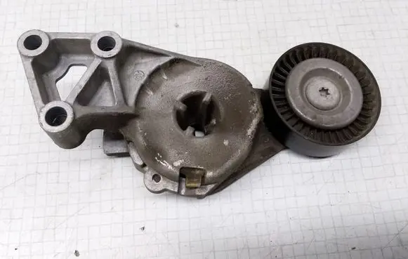 Skoda Octavia Mk2 (1Z) Generator/alternator belt tensioner 04873010001