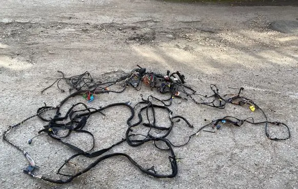Opel Vivaro Wiring harness 93853139 82003645040