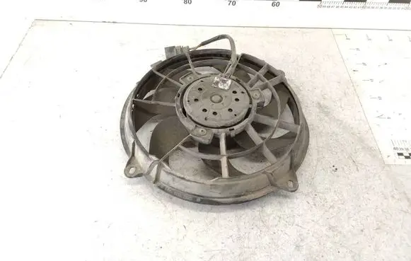 Volkswagen Sharan Electric radiator cooling fan 3135103365