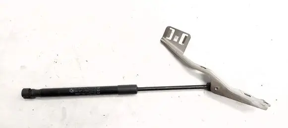 BMW 2 F45 Front bonnet/hood damper/strut 7300535
