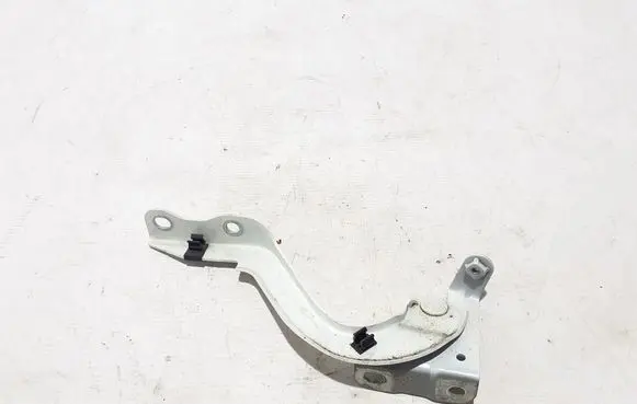 Toyota C-HR I Engine bonnet/hood hinges 53410F4010