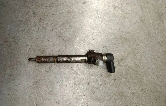 Renault Megane II Fuel injector H8200294788