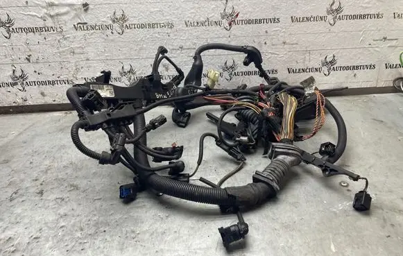 BMW 5 E60 E61 Engine installation wiring loom 780719801 EE00139421 758013802D