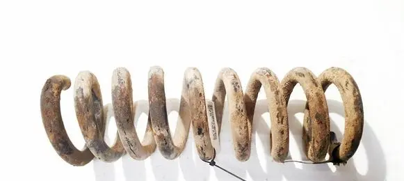 Rear coil spring
