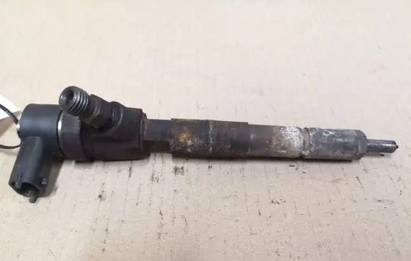 Opel Signum Fuel injector 0445110243