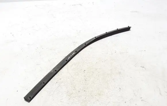 Renault Espace V (RFC) Rubber seal front door (on door) 658104594R