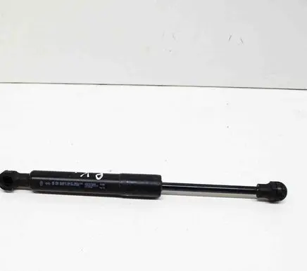 Renault Zoe Front bonnet/hood damper/strut 654707388R
