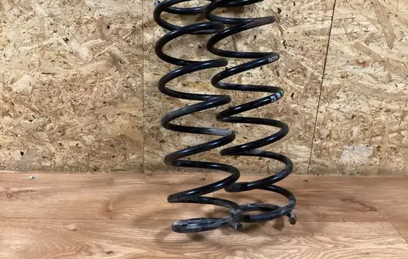 Rear coil spring