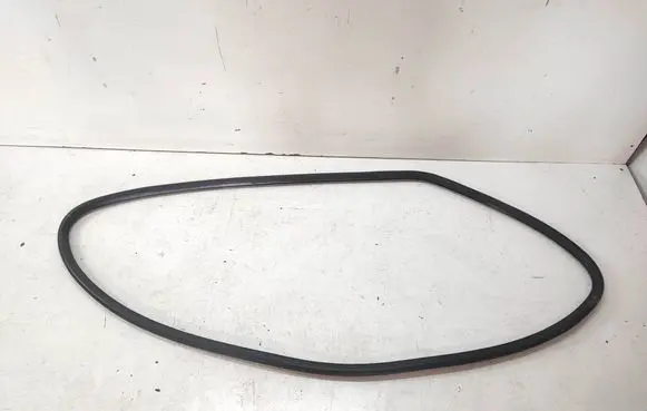 Volkswagen PASSAT B6 Front door rubber seal
