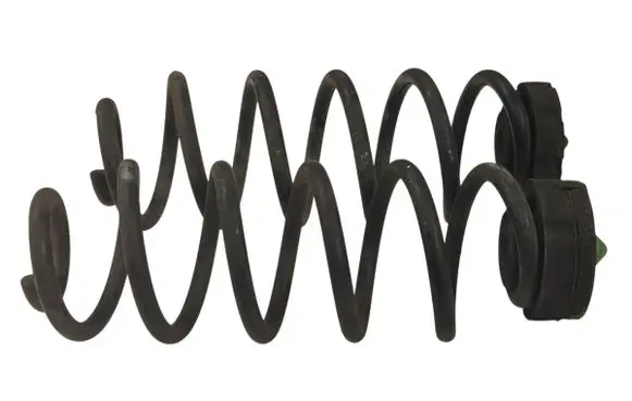 Rear coil spring