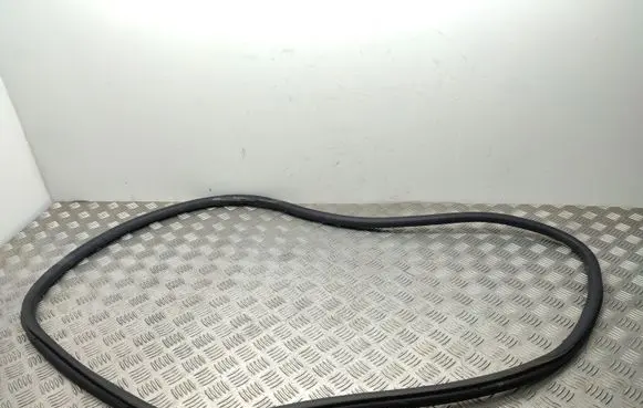 Peugeot 2008 II Front door rubber seal