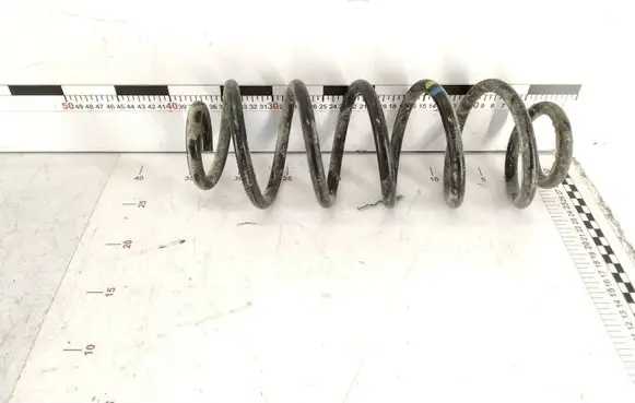 Volkswagen Golf V Rear coil spring 