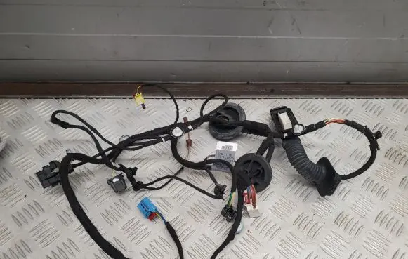 Audi Q5 SQ5 Front door wiring loom 80A971030E