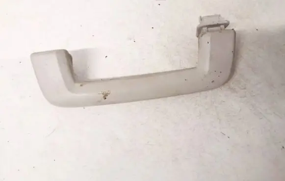 Ford Focus Front interior roof grab handle