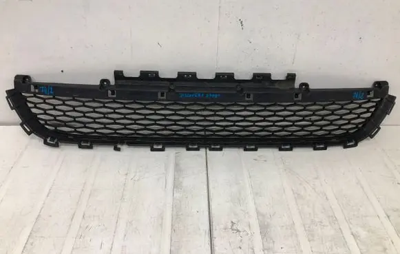 Front bumper lower grill