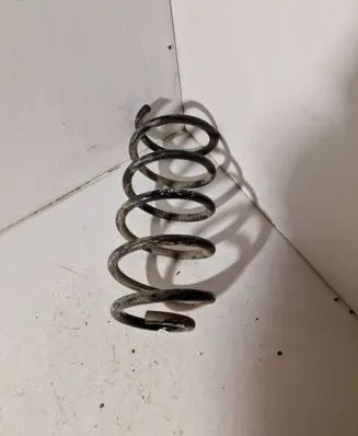 Rear coil spring