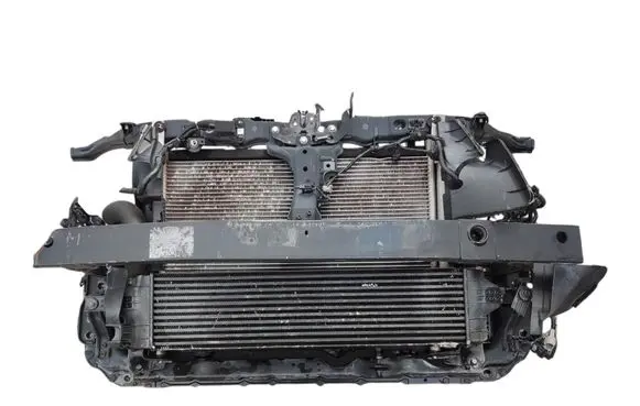 Renault Kangoo I Radiator set 214008764R