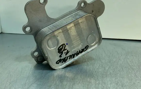 Opel Grandland X Oil filter mounting bracket 9815697880 8148926 82494630