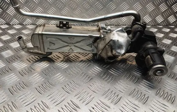 Volkswagen Polo V 6R EGR valve 0280751016