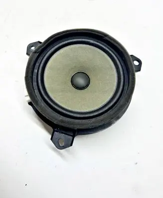 Toyota RAV 4 (XA40) Rear door speaker 