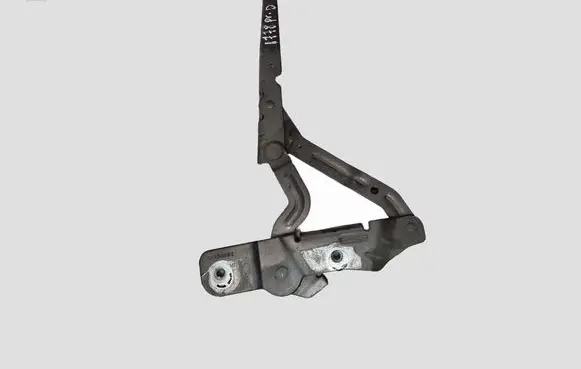 Ford C-MAX II Engine bonnet/hood hinges AM5116800AG