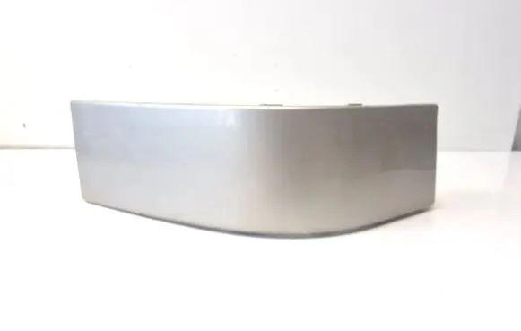 Rear/tail light trim molding