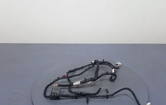 BMW M4 F82 F83 Other wiring loom 5A08216