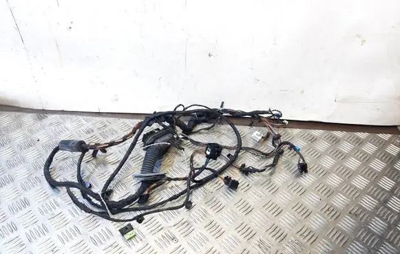 BMW 7 F01 F02 F03 F04 Front door wiring loom 9234121 3846969
