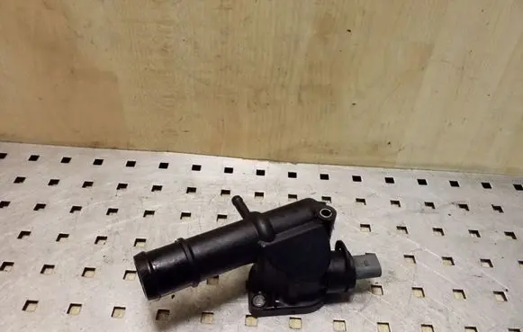 Thermostat/thermostat housing