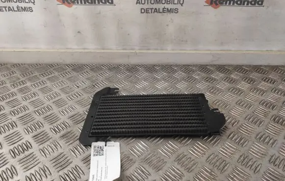 Renault Trafic III (X82) Fuel cooler (radiator) 93868458
