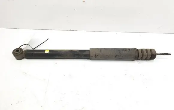 Dacia Sandero Rear shock absorber/damper 562103901R