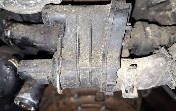 Citroen Berlingo Engine coolant pipe/hose