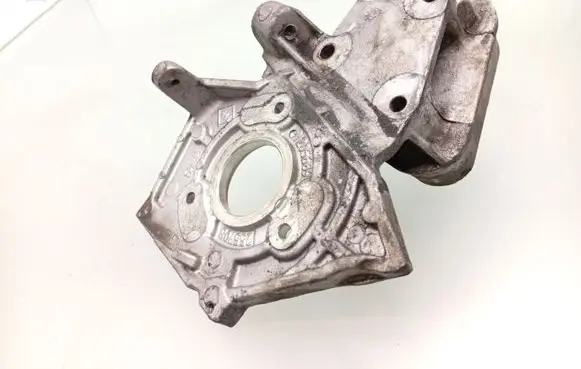 Renault Espace - Grand espace IV Engine mounting bracket 205689